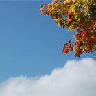 Weiß-Blauer Herbst