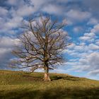 weiß blauer Himmel über Bayern