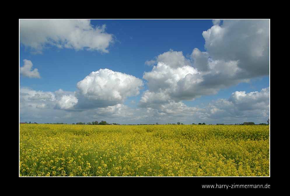 Weiß blauer Himmel über gelbem Grund