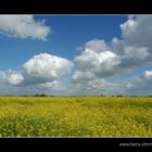 Weiß blauer Himmel über gelbem Grund