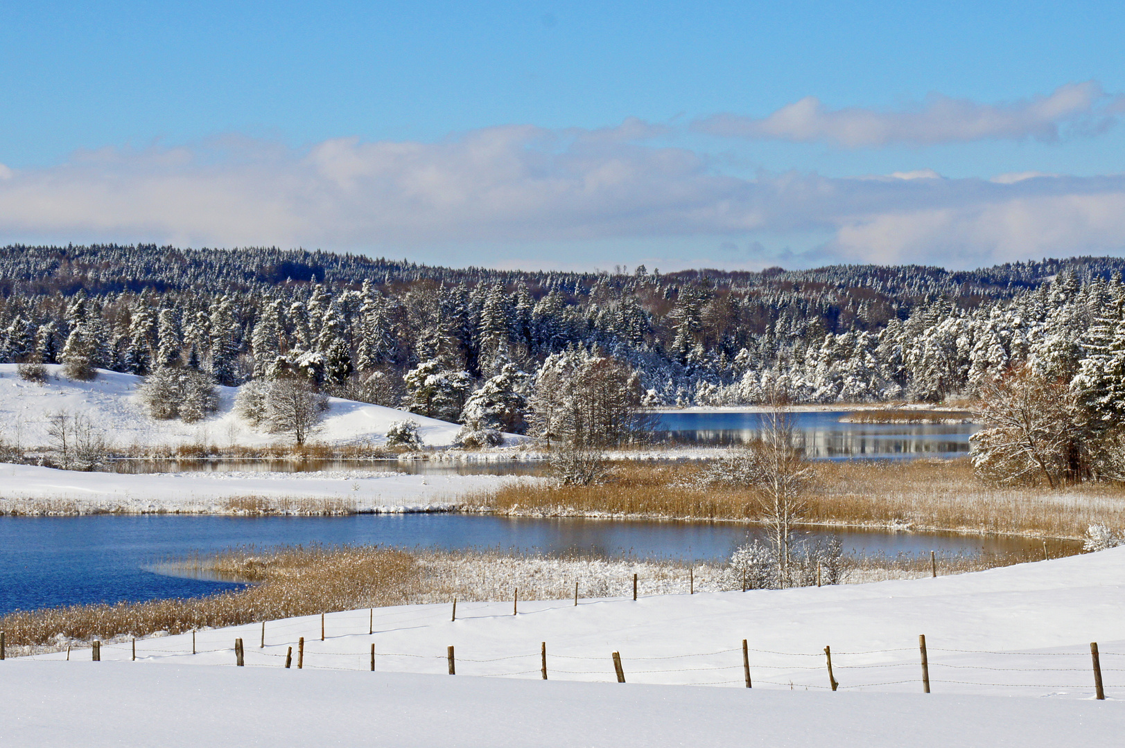 weiss-blauer Winter