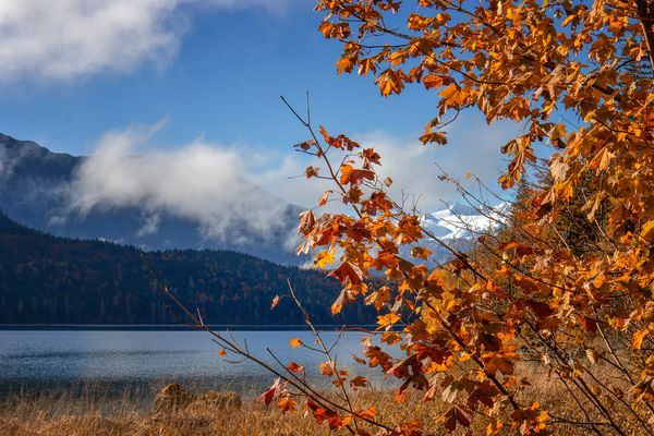 weiß blitzt aus gold hervor