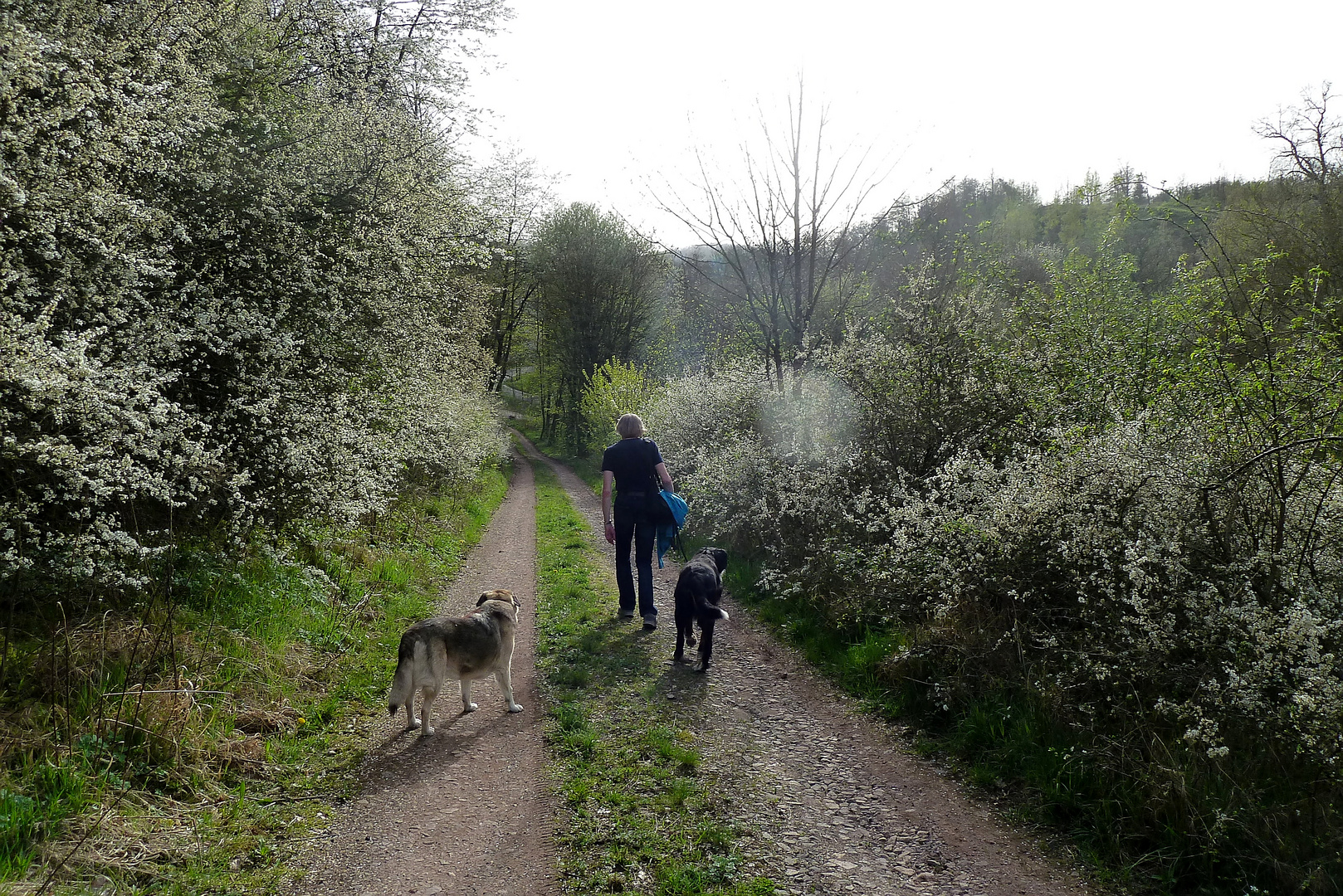 Weiß eingerahmt der Weg