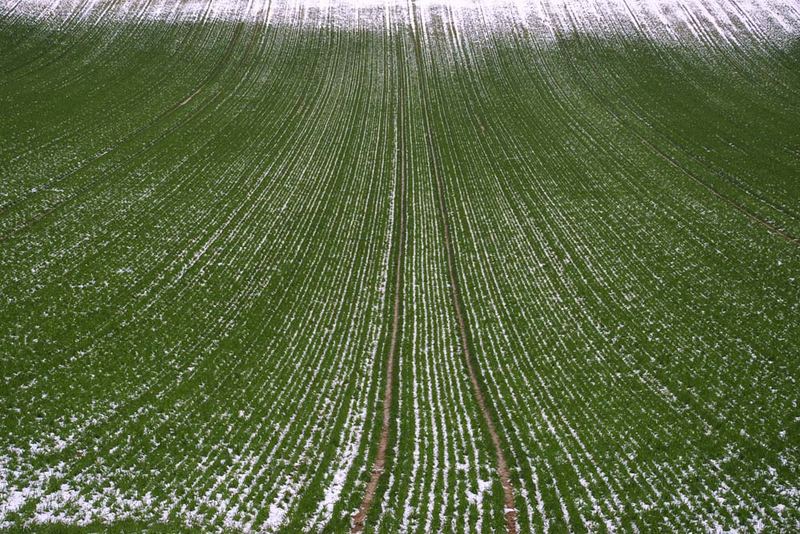 Weiss gegen Grün - Grün gewinnt