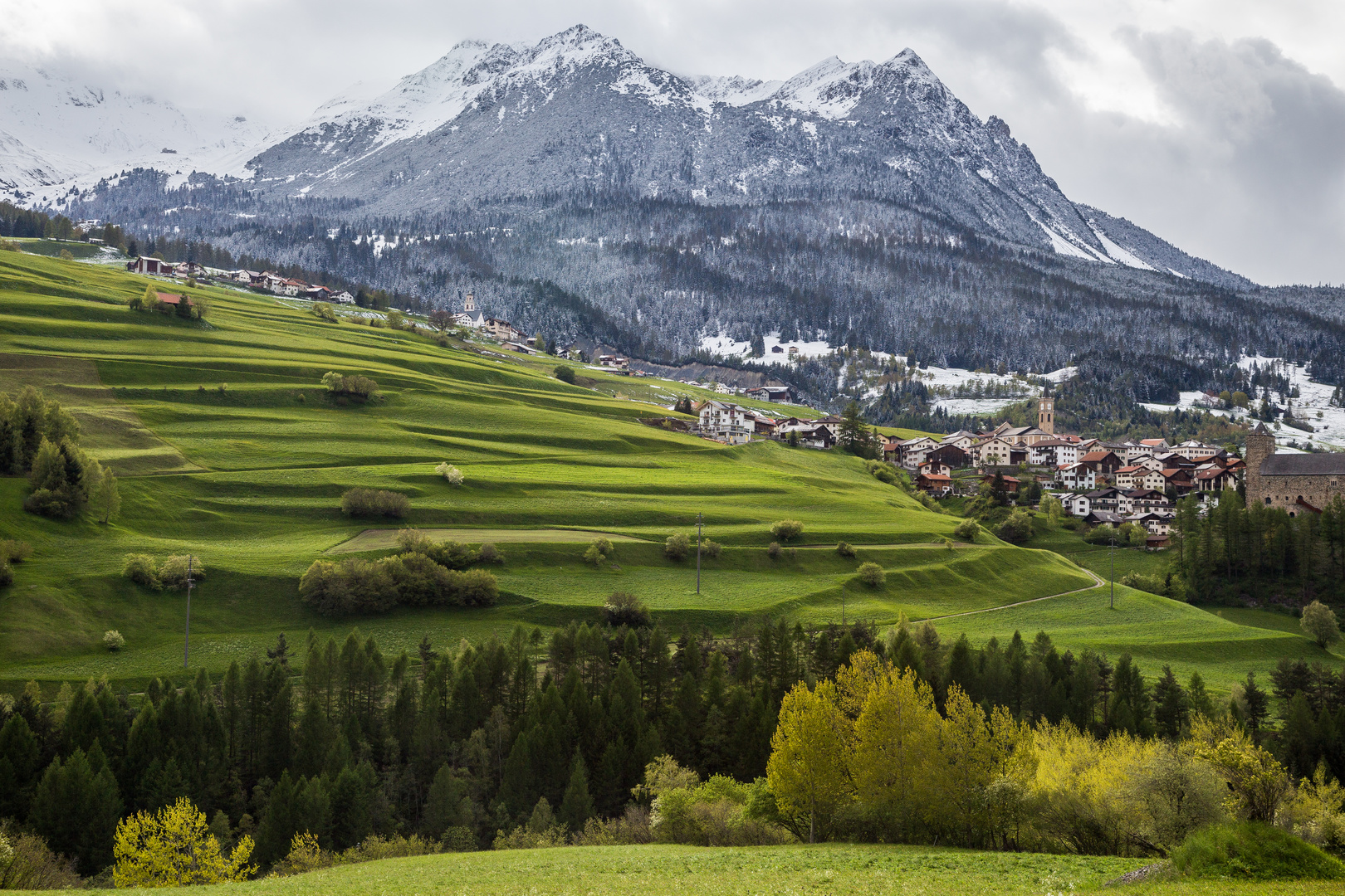 Weiß gepudert