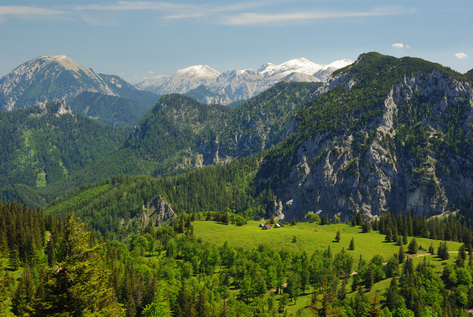 Weiß-Grün ist die Steiermark