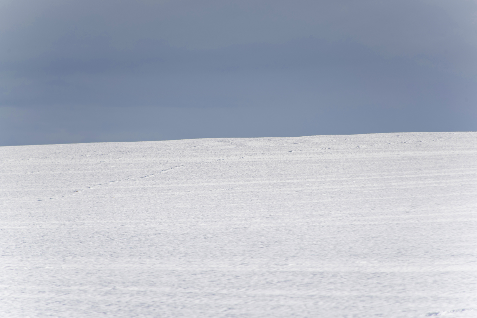 weiss mit Himmel