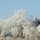 Weiß ohne Schnee