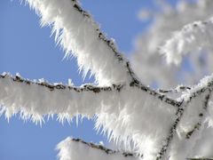 Weiss und Blau !