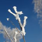 Weiß und blau