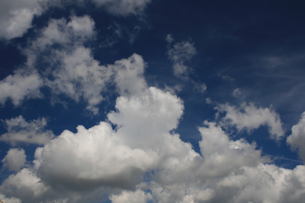 Weiß und blau an der Küste