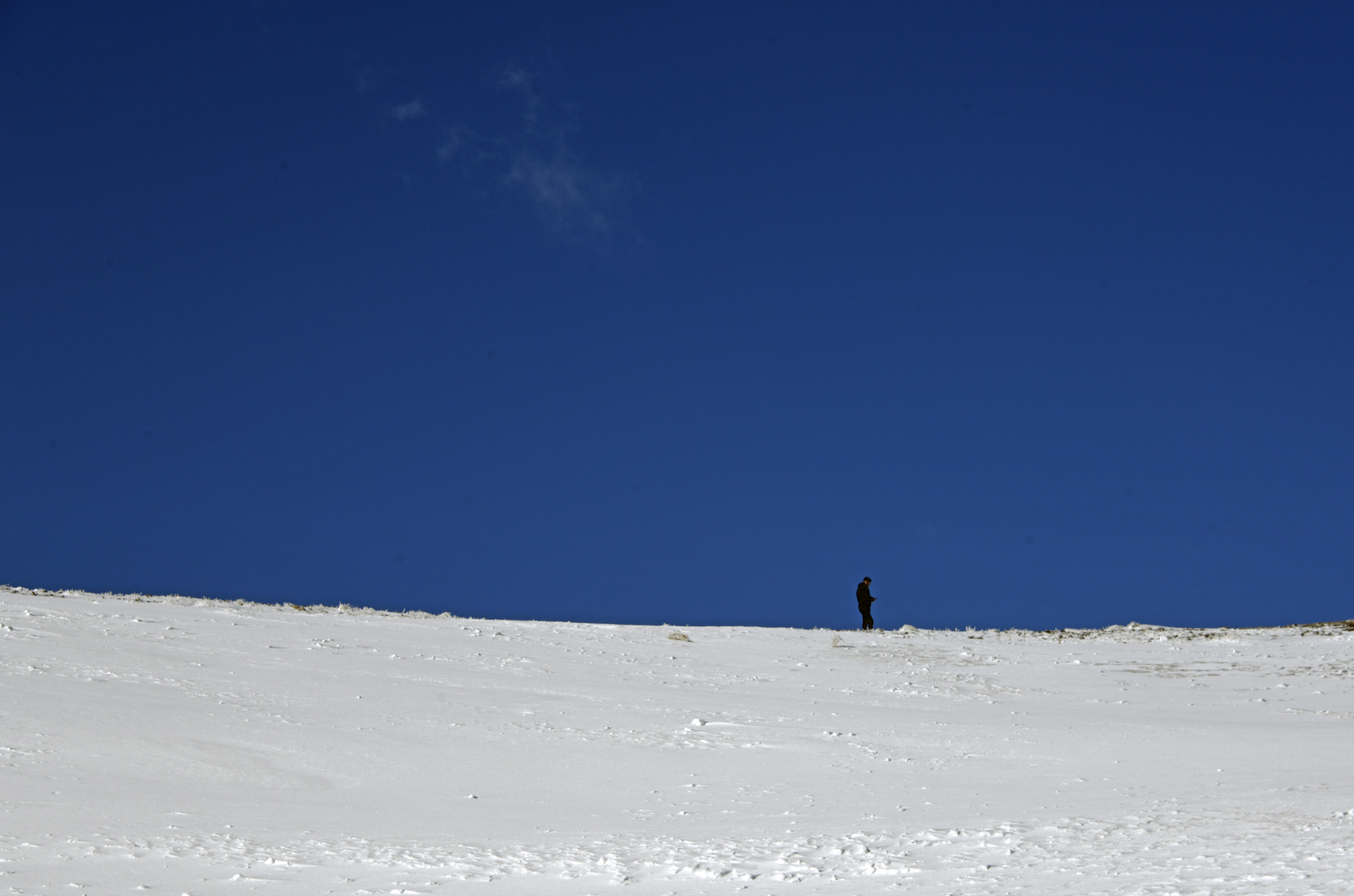 Weiß und Blau