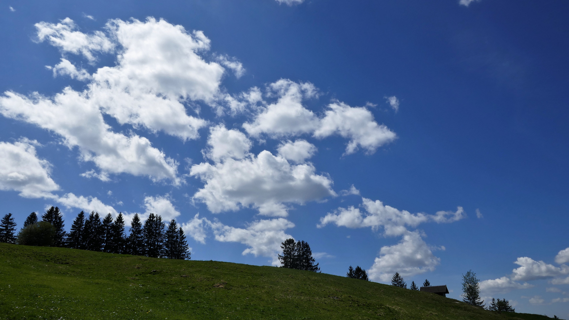 ... Weiß und Blau ...