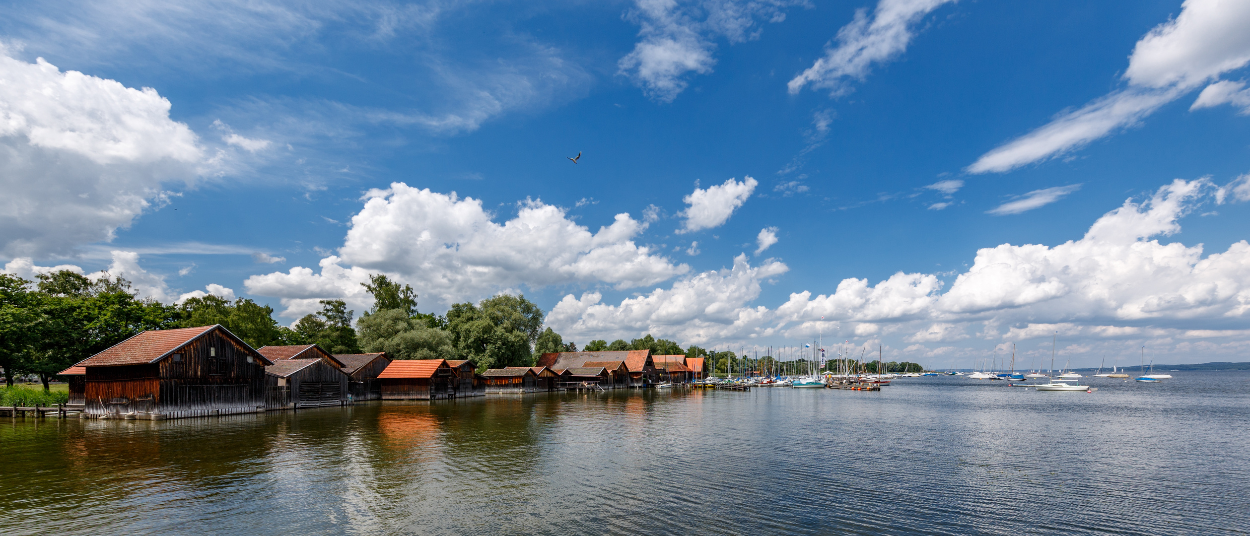 weiß und blau natürlich auch für die Seegler