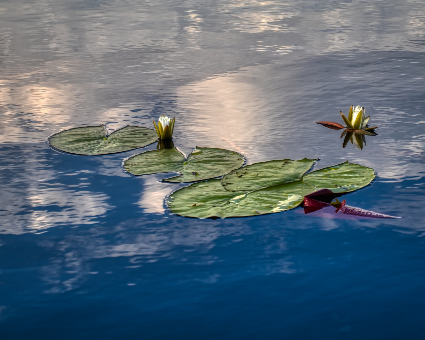 Weiß und Blau. Und Grün