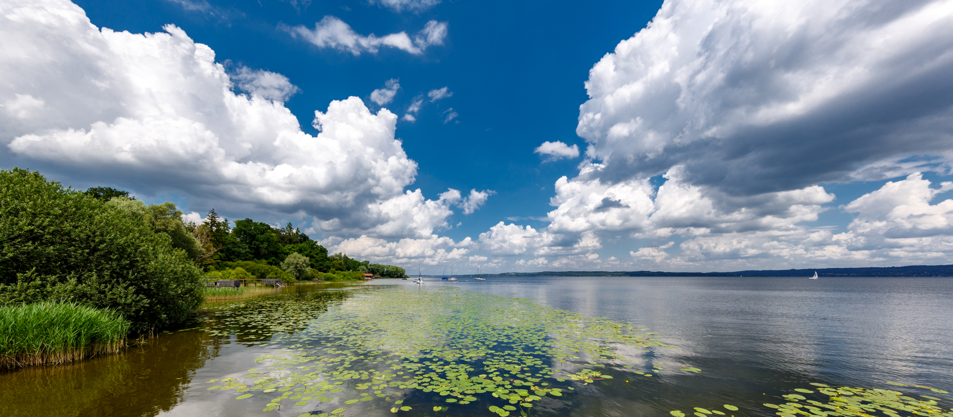 weiß und blau, was für ein herrlicher Tag