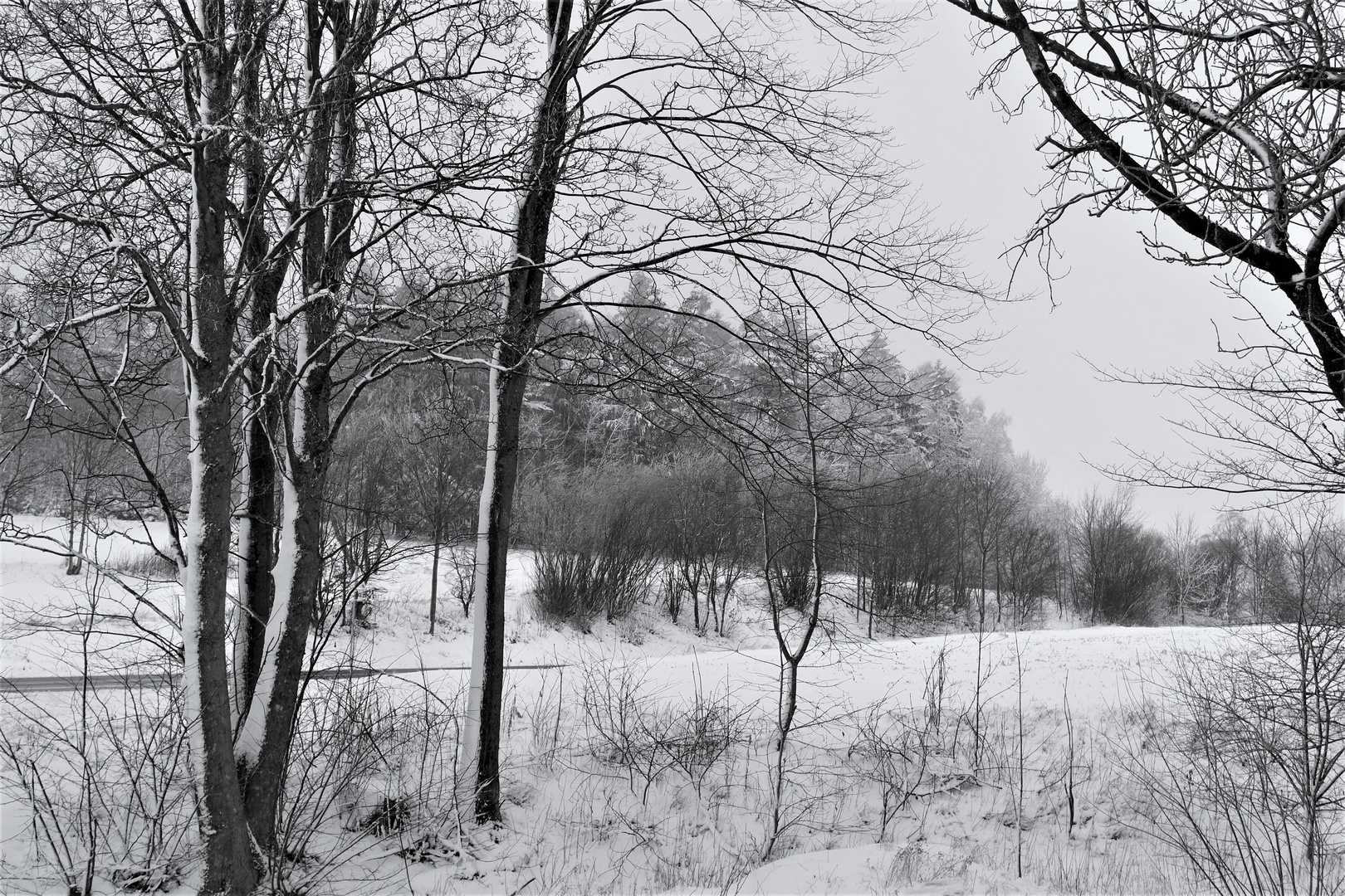 Weiß vom Schnee