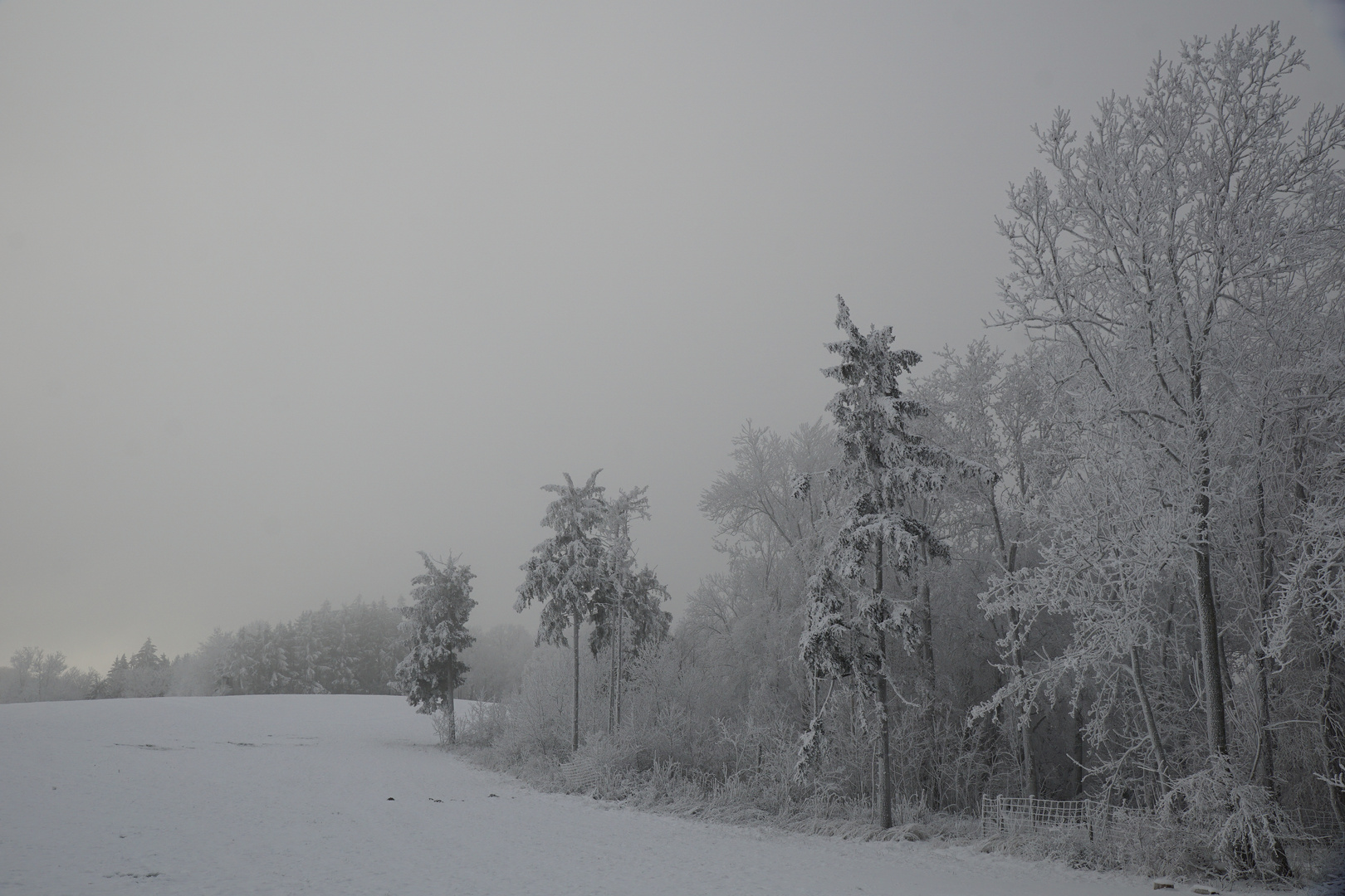 Weiss von Schnee und Rauhreif