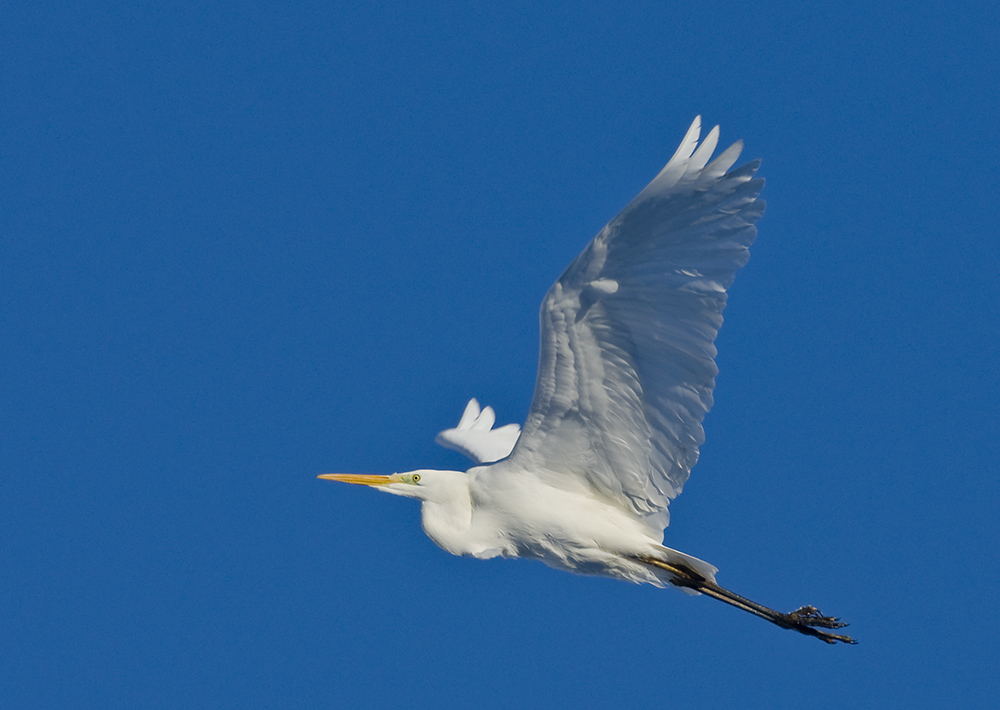 Weiß vor Blau