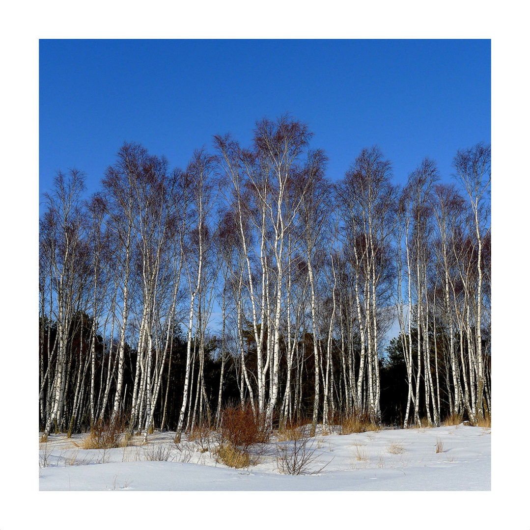 Weiss wie der Schnee und blau wie das Meer