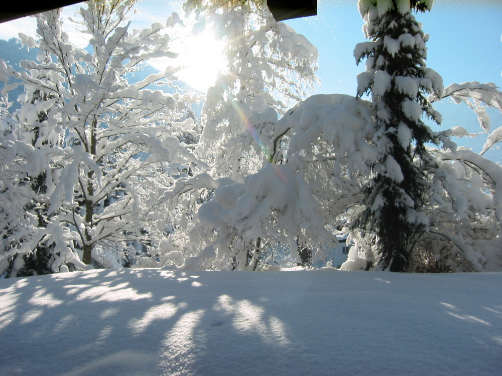 Weiß wie Schnee