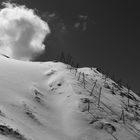 Weiß wie Schnee