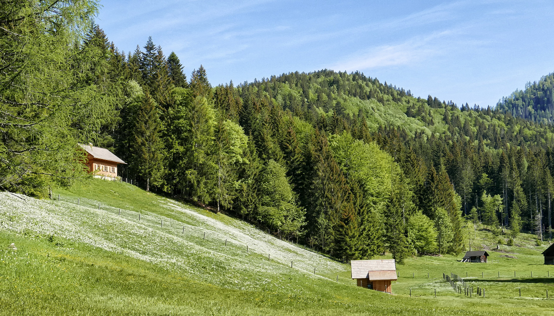 weiß wie Schnee