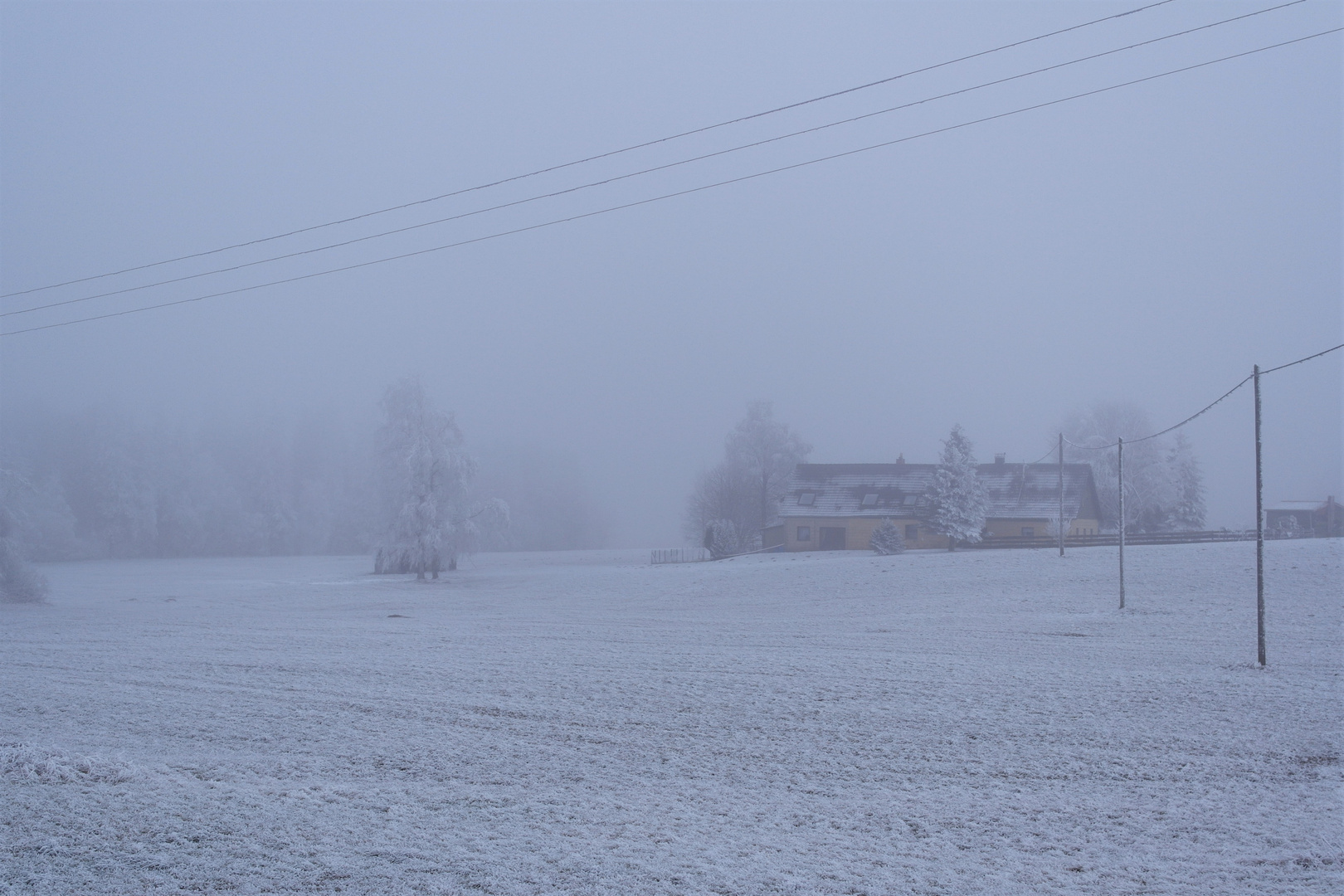 Weiß wie Winter