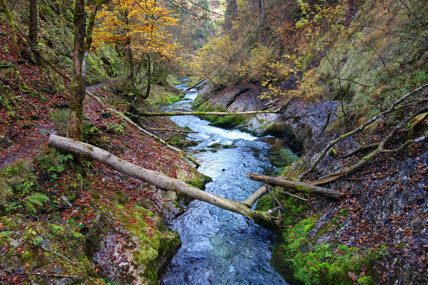  Weissbachschlucht  