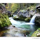 Weißbachschlucht