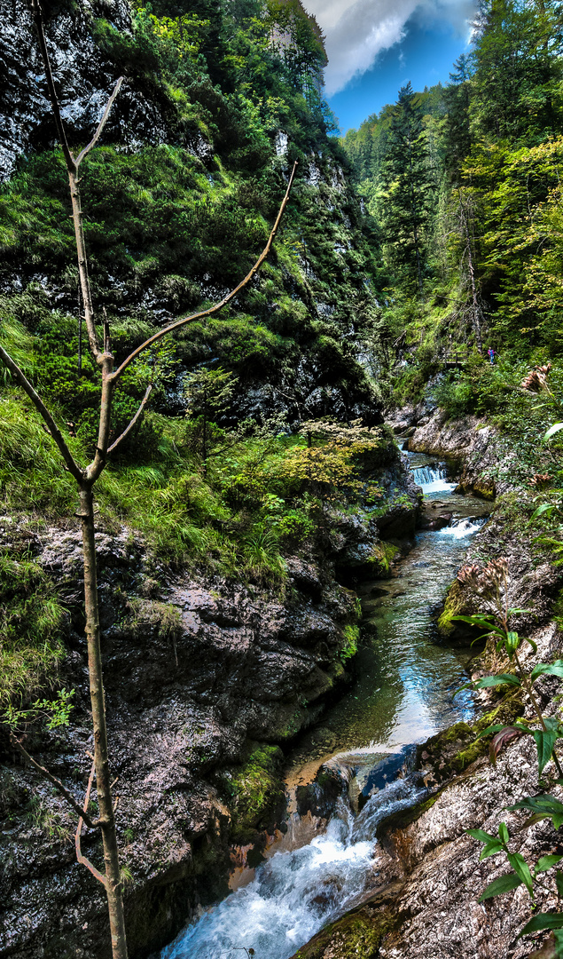 Weißbachschlucht in Schneizlreuth