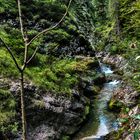 Weißbachschlucht in Schneizlreuth