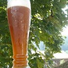 Weißbier