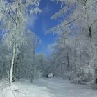 Weiß/blau