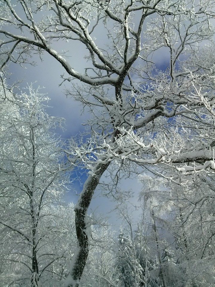 weiß/blau