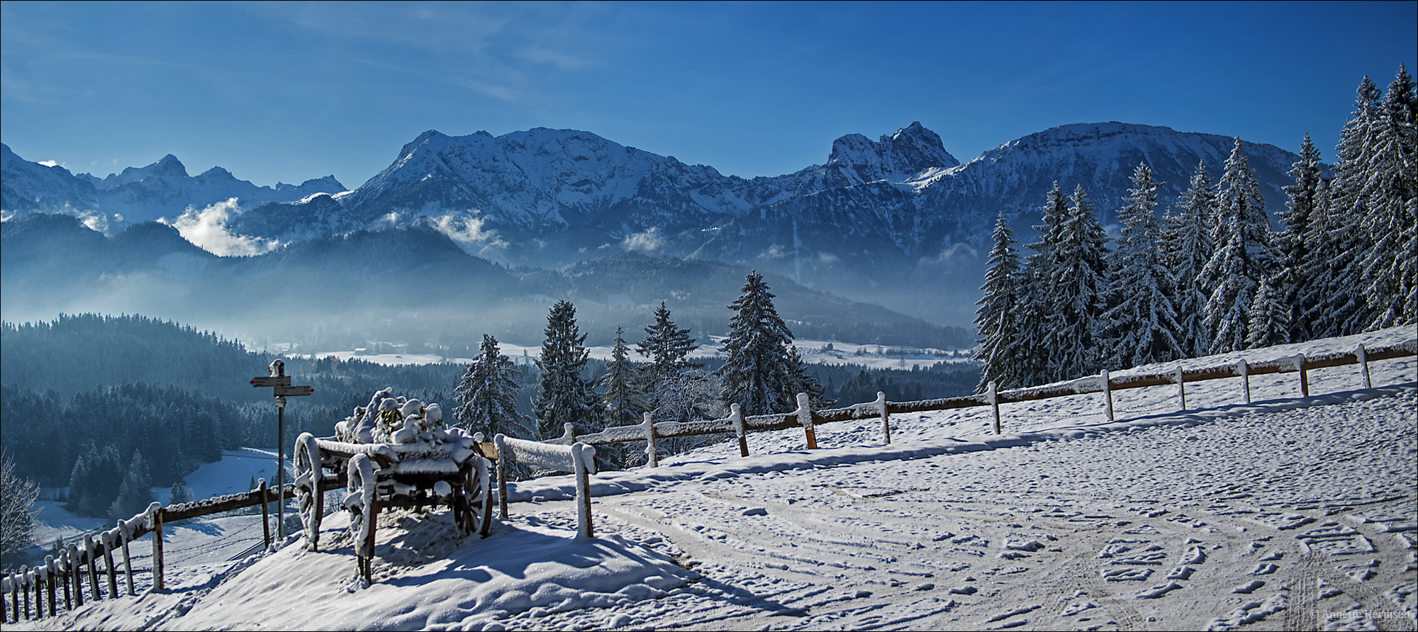 Weiß/blau