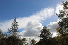 weiß/blauer Himmel über den Köpfen