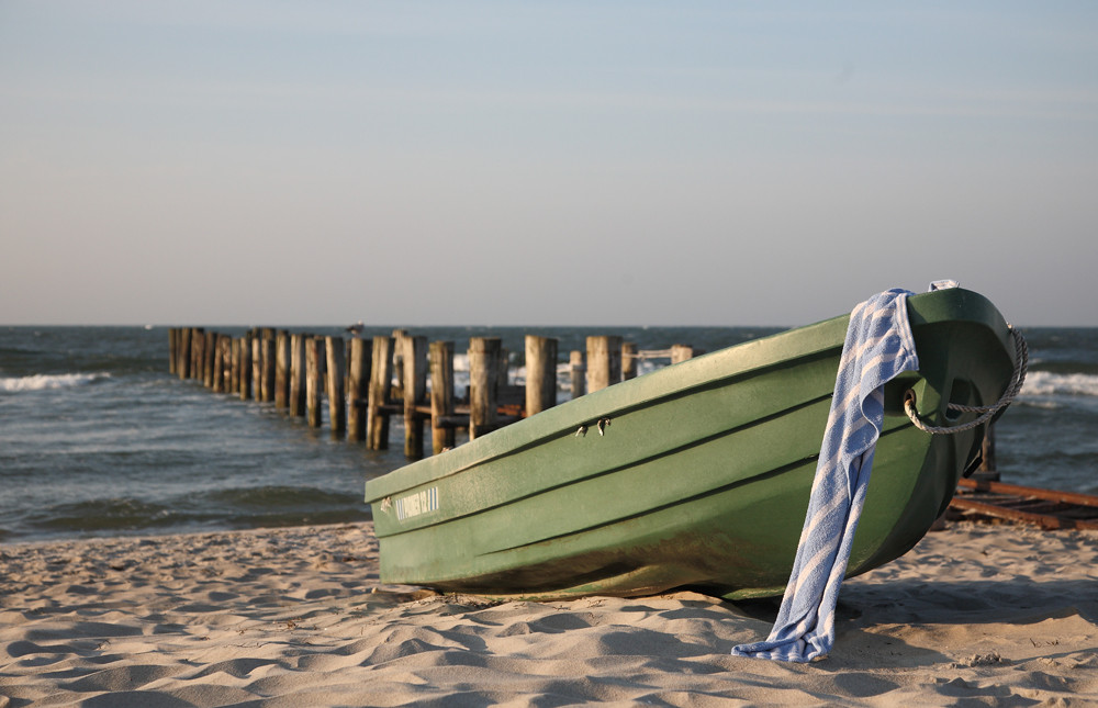 Weissblaues Strandgut vor Zingst