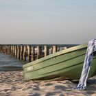 Weissblaues Strandgut vor Zingst