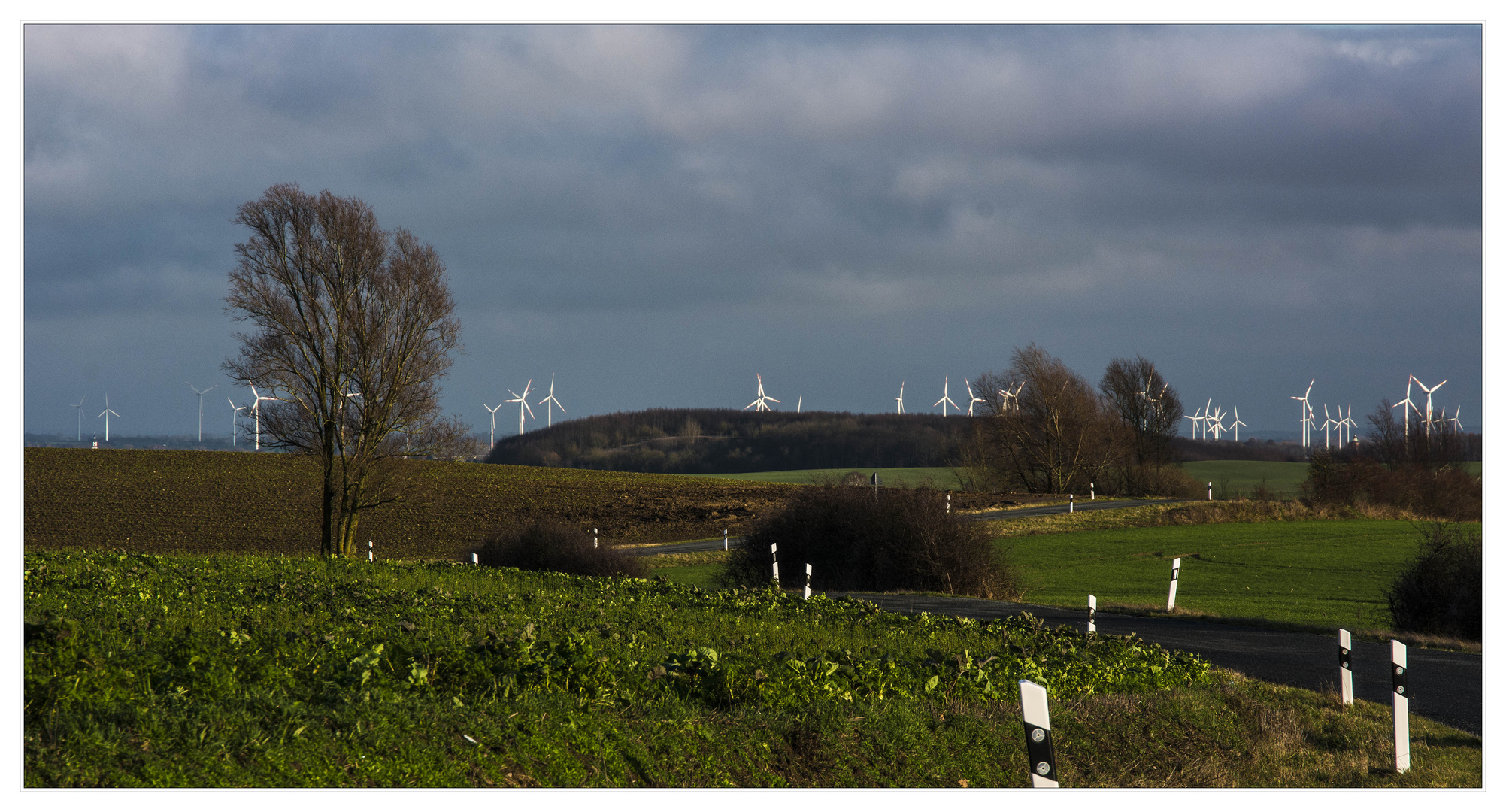 Weiße Balken in der Natur