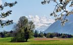 weisse Berge de Juan 