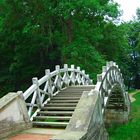 weiße brücke im luisium dessau