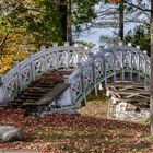 Weiße Brücke im Wörlitzer Park 