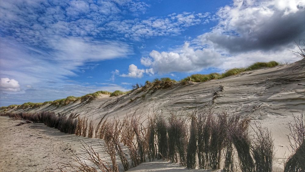 Weisse Düne auf Norderney...