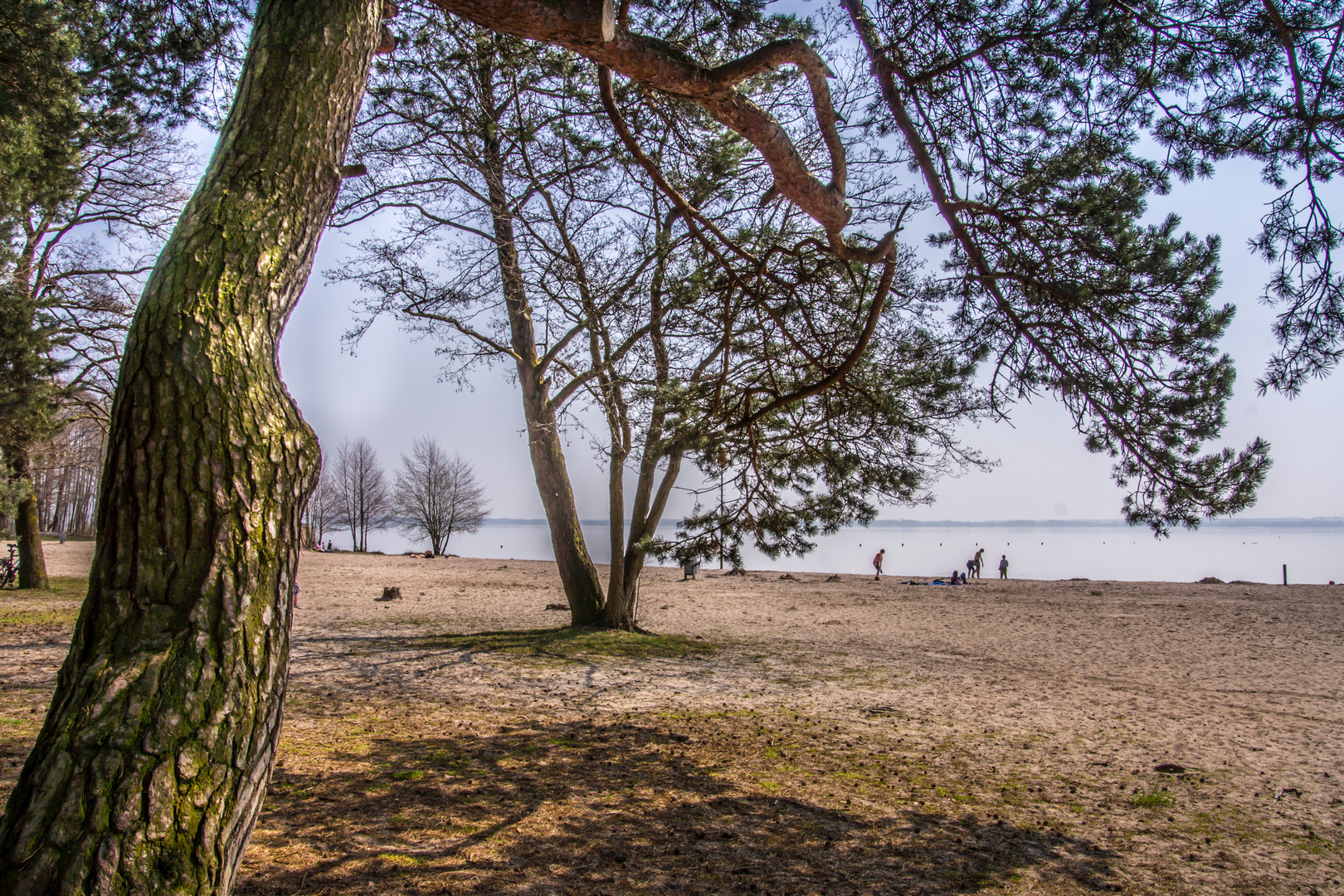 "Weiße Düne" - Mardorf/Steinhuder Meer