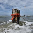 Weisse Düne Norderney