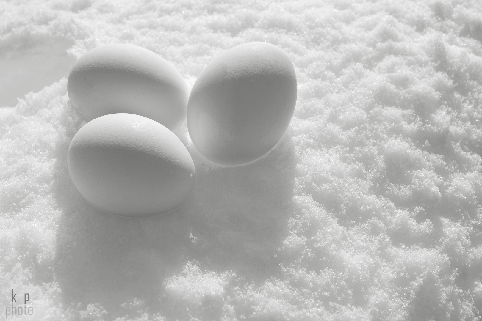 weiße Eier im Schnee