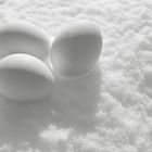 weiße Eier im Schnee