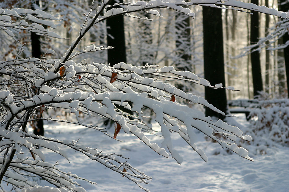 weiße Farben