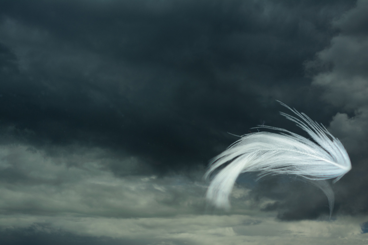 Weiße Feder in dunklen Wolken